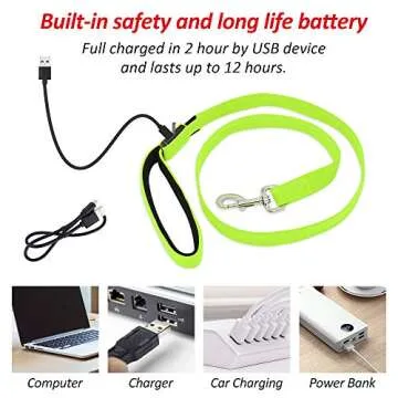 BSEEN LED Dog Leash - High Visibility Safety Leash for Dogs