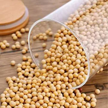 Airtight Glass Food Storage Canisters for Kitchen Organization