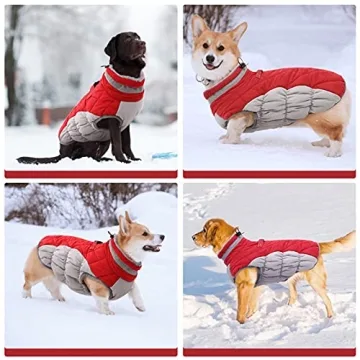 FUAMEY Waterproof Dog Winter Coat with Built-in Harness
