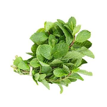 Fresh Mint Leaves for Culinary Delights - 0.75oz Bag