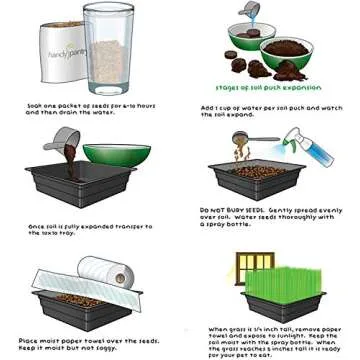Handy Pantry Organic Cat Grass Kit - Includes 3 Trays, Soil Pucks, and 3 Packs Non GMO Wheatgrass Seed - A Healthy Treat For Cats, Dogs, Rabbits, More