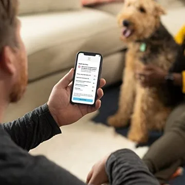 Embark Dog DNA Test for Health and Breed Validation