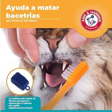 Arm & Hammer Cat Dental Kit for Kittens with Tuna Flavor
