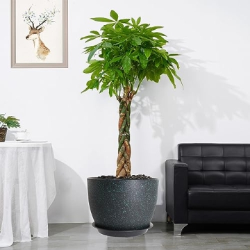 UOUZ Stylish Modern Plant Pots for Any Home Decor