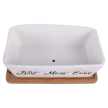 Vencer Mom's Present - Best Mom Ever - Mother's Present - Cute Planter - Present for Mom - Funny Mother's Present,VF-158