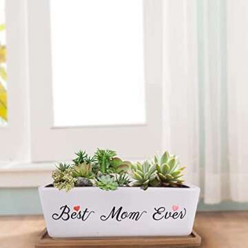 Vencer Mom's Present - Best Mom Ever - Mother's Present - Cute Planter - Present for Mom - Funny Mother's Present,VF-158