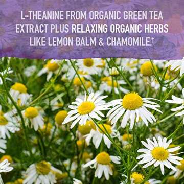 Sleep Well Rest & Refresh with L-Theanine & Probiotics 30 Tablets