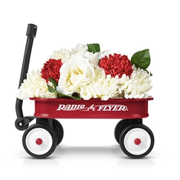 Buy Radio Flyer 12.5 Inch Little Red Toy Wagon for Kids