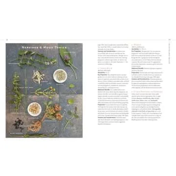 Body into Balance Herbal Guide for Holistic Self-Care