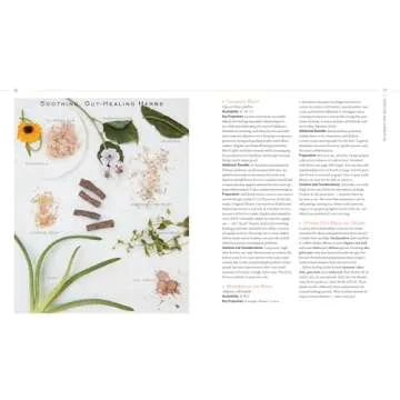 Body into Balance Herbal Guide for Holistic Self-Care