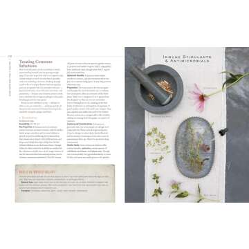 Body into Balance: An Herbal Guide to Holistic Self-Care