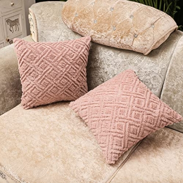 ETASOP Decorative Couch Pillows Set with Inserts 18x18