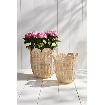 Mud Pie Scallop Rattan Baskets | Elegant Storage Duo