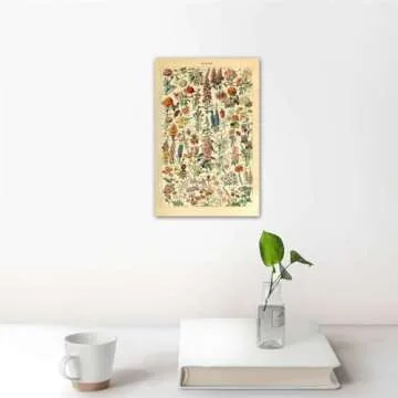 Meishe Art Vintage Poster Print Flower Floral Botanical Collections Garden Flowers and Plants Identification Reference Chart Diagram Home Wall Decor