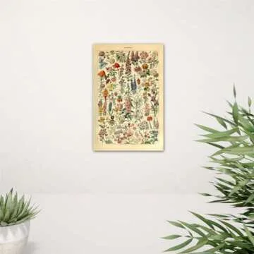 Meishe Art Vintage Poster Print Flower Floral Botanical Collections Garden Flowers and Plants Identification Reference Chart Diagram Home Wall Decor