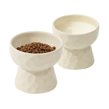 Havniva Elevated Ceramic Cat Bowl for Healthy Eating