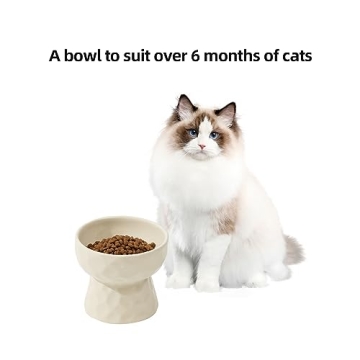 Havniva Elevated Ceramic Cat Bowl for Healthy Eating