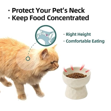Havniva Elevated Ceramic Cat Bowl for Healthy Eating