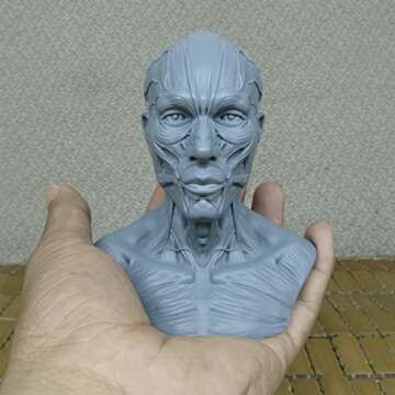 airgoesin Human Model Craft Anatomy Skull Head Muscle Bone Medical Artist Drawing Study (Blue)