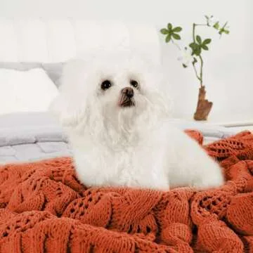 Amélie Home Chunky Knit Chenille Throw Blanket, Breathable Cable Knitted Blanket for Couch, Farmhouse Decorative Throw for Sofa Chair Bed,Burnt Orange,50 x 60 inch