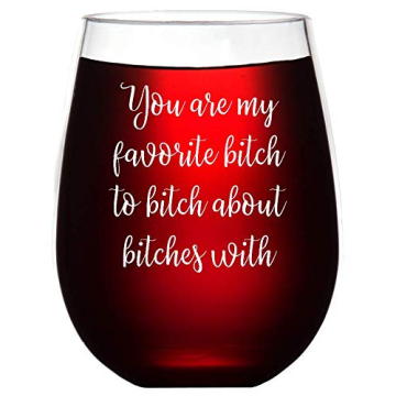 Coworker Gifts for Women, You Are My Favorite Bitch, Gifts for Your Best Friend, Unbreakable Stemles...