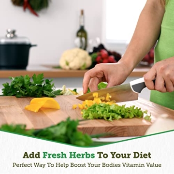 VegTrug Elevated Herb Garden for Easy Gardening