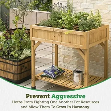 VegTrug Elevated Herb Garden for Easy Gardening
