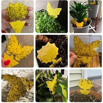 40 Pack Fungus Gnat Traps for House Indoor, Fungus Traps Fruit Fly Traps for Indoors Gnats Sticky Traps for Plants Yellow Sticky Traps for Gnats