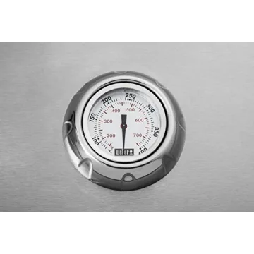 Weber Summit S-660 Built-In Liquid Propane Grill - Premium BBQ