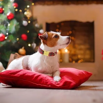 Unique Style Paws Dog Collar for All Dogs - Soft and Adjustable