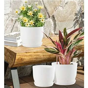 Self-Watering GardenBasix Plant Pots for Every Home