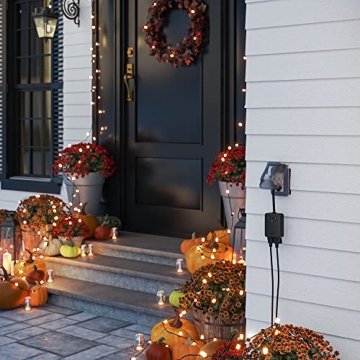 Wyze Plug Outdoor Dual Outlets Smart Plug Energy Monitor