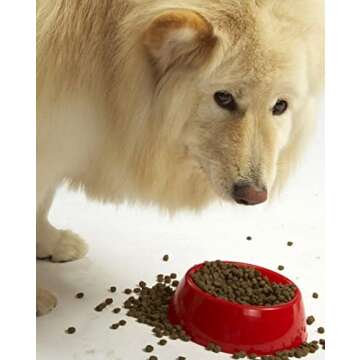 Evanger's Super Premium Gamebird Recipe with Coconut Oil Dry Food for Dogs, 33 lb Bag