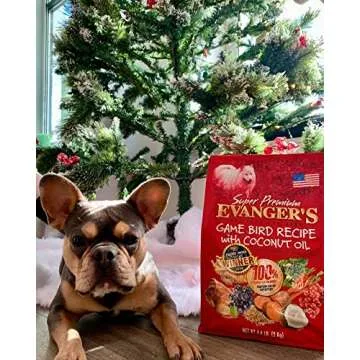 Evanger's Super Premium Gamebird Recipe with Coconut Oil Dry Food for Dogs, 33 lb Bag