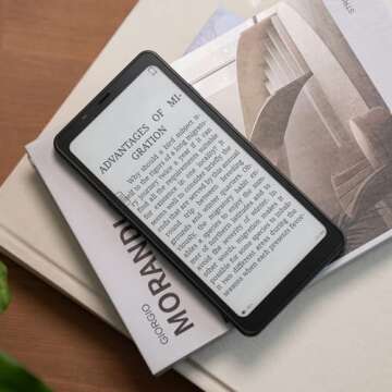 BOOX Palma Mobile ePaper 6G 128G G-Sensor Front Light 16MP Rear Camera (Black)