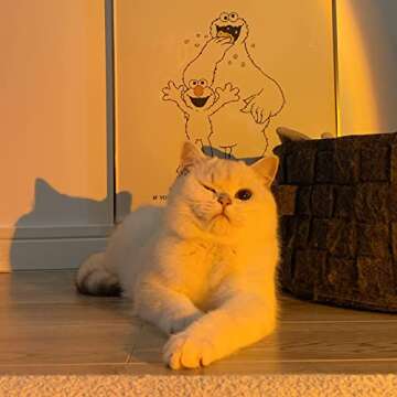 TycoLL iiLOAABB DoroGrape LED Sunset Lamp Projector, Sunset Light for for Indoor Rainbow Romantic Ambiance, and Bedroom or Living Room Home Decor, 360 Rotation for Wall or Ceiling Projection