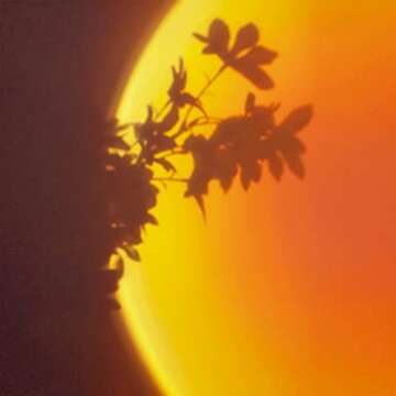 TycoLL iiLOAABB DoroGrape LED Sunset Lamp Projector, Sunset Light for for Indoor Rainbow Romantic Ambiance, and Bedroom or Living Room Home Decor, 360 Rotation for Wall or Ceiling Projection