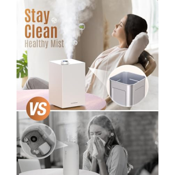 Jack & Rose Stainless Steel Humidifier for Easy Cleaning