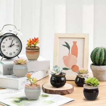 T4U Small Ceramic Succulent Pots with Drainage Set of 6, Mini Pots for Plants, Plant Lover Gifts for...