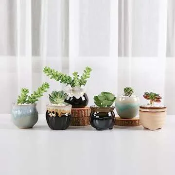 T4U Small Ceramic Succulent Pots with Drainage Set of 6, Mini Pots for Plants, Plant Lover Gifts for Women, Tiny Air Plant Flower Pots Cactus Faux Plants Containers, Home and Office Decor
