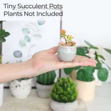 T4U Small Ceramic Succulent Pots with Drainage Set of 6, Mini Pots for Plants, Plant Lover Gifts for Women, Tiny Air Plant Flower Pots Cactus Faux Plants Containers, Home and Office Decor