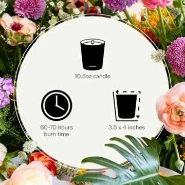 Apotheke Saffron Vanilla Candle - Clean Burn & Luxury Aroma