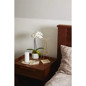 Elegant Umbra Prisma Tray for Jewelry & Home Organization