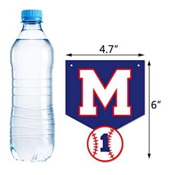 Kitticcino Baseball 1st Birthday Monthly Photo Banner Baseball Theme First Year Photo Banner My Rook...