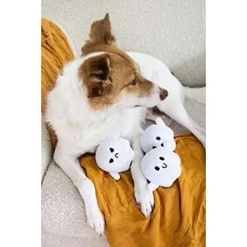 Pearhead Plush Squeaky Ghost Dog Toys, Halloween Stuffed Pet Toy, Dog Owner Must Have Accessories, Spooky Ghosts Fall Dog Toys, Set of 3