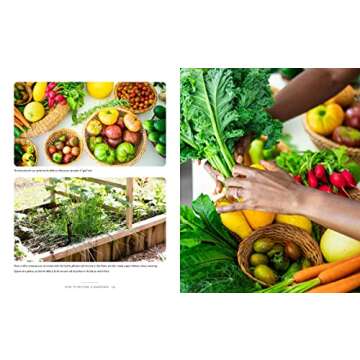 How to Become a Gardener with Food Security Insights