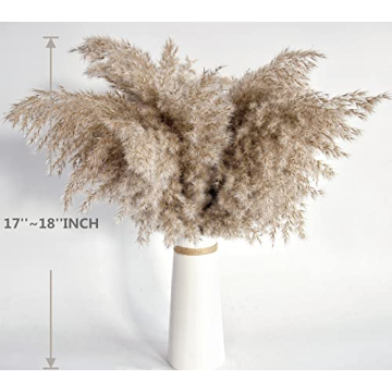Fluffy Pampas Grass Decor - Natural Dried Flowers for Every Home