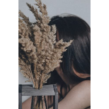 Fluffy Pampas Grass Decor - Natural Dried Flowers for Every Home