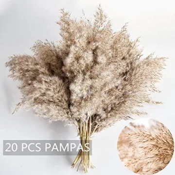 Fluffy Pampas Grass Decor - Natural Dried Flowers for Every Home