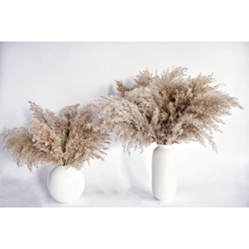 Fluffy Pampas Grass Decor - Natural Dried Flowers for Every Home